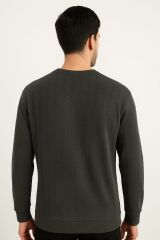 Erkek Sweatshirt Antrasit Bisiklet Yaka Uzun Kollu İnce Esnek Regular Fit Rahat Şık Günlük Sweat 95219 ANTRASİT