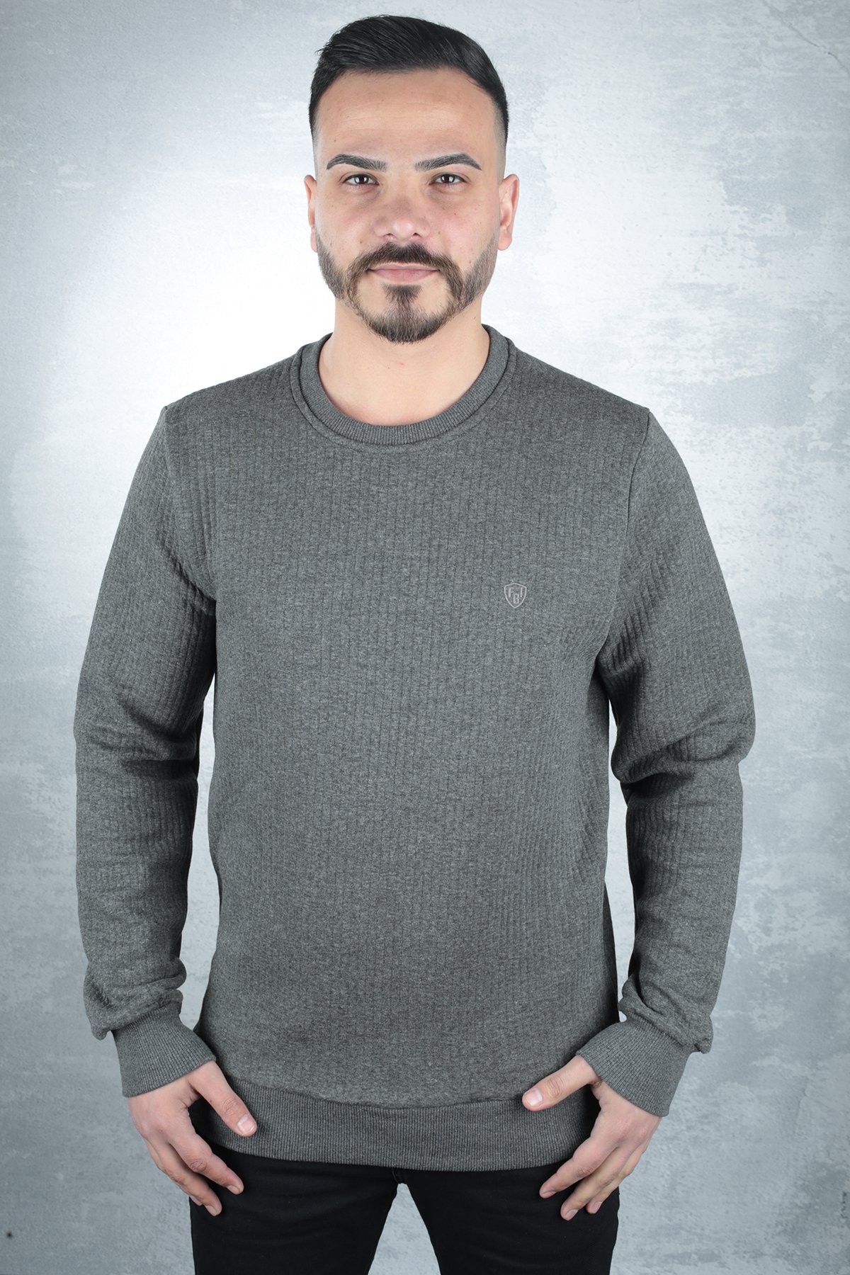 Bisiklet Yaka Uzun Kollu Pamuk Karışımlı Çizgi Detaylı Erkek Sweatshirt 95090 ANTRASİT