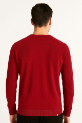 Bisiklet Yaka Erkek Triko Kazak 93105